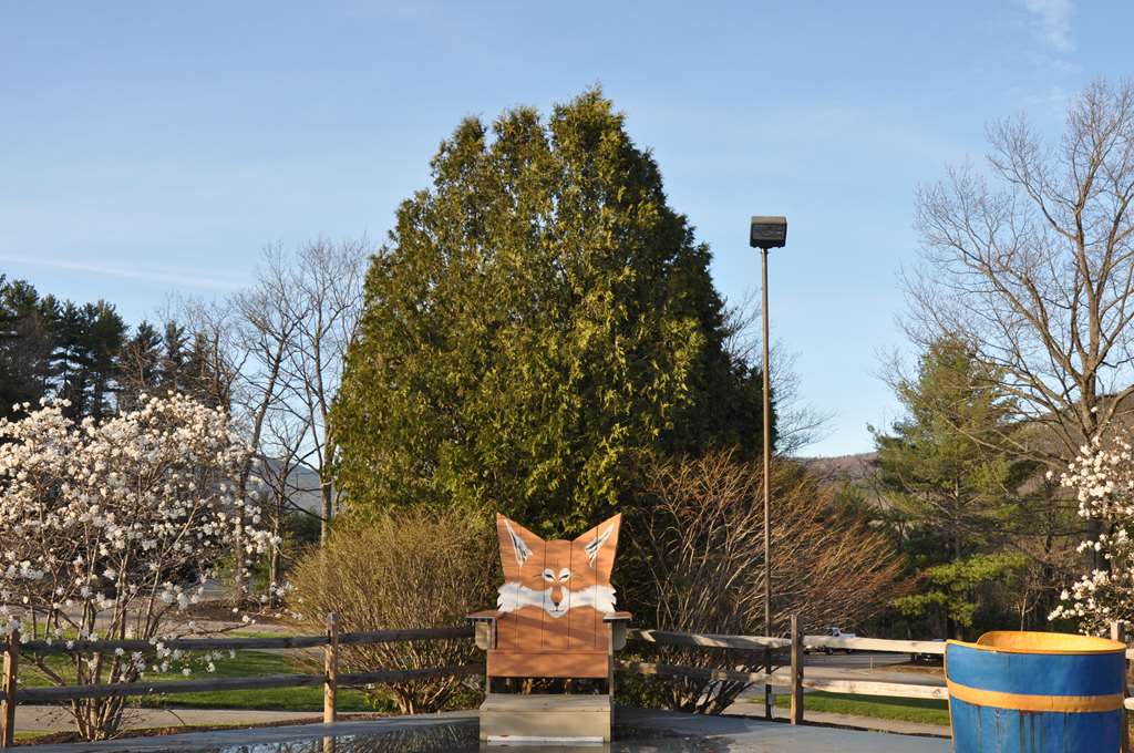 Venue gallery photo