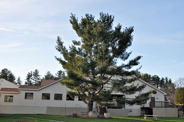 Exterior view - Fox Ridge Resort North Conway