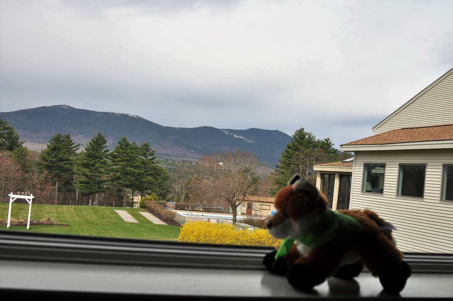 Fox Ridge Resort North Conway, NH - See Discounts