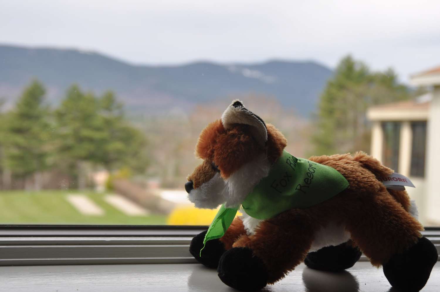 Fox Ridge Resort North Conway, NH - See Discounts