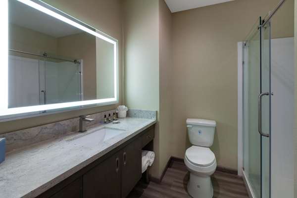  - Hawthorn Suites by Wyndham Odessa - I-20, Exit 120