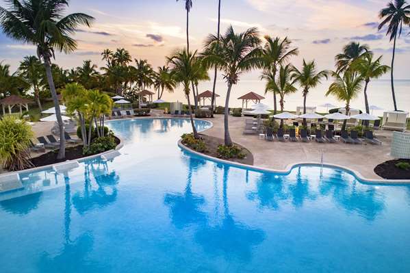 Pool - Hyatt Regency Grand Reserve Resort Rio Grande