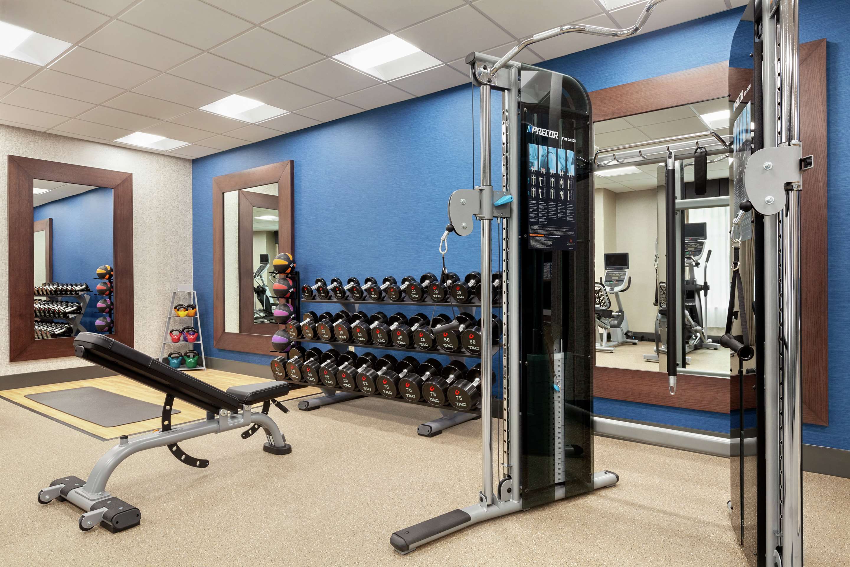 Health club fitness center gym