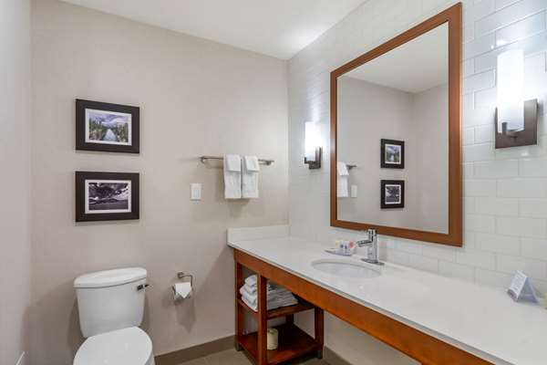 Suite - Comfort Inn & Suites Valemount