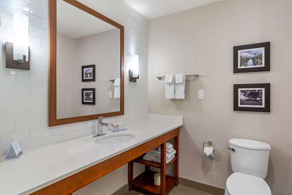  - Comfort Inn & Suites Valemount