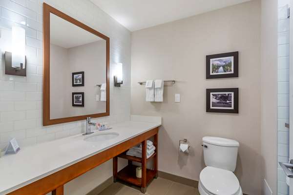 Suite - Comfort Inn & Suites Valemount