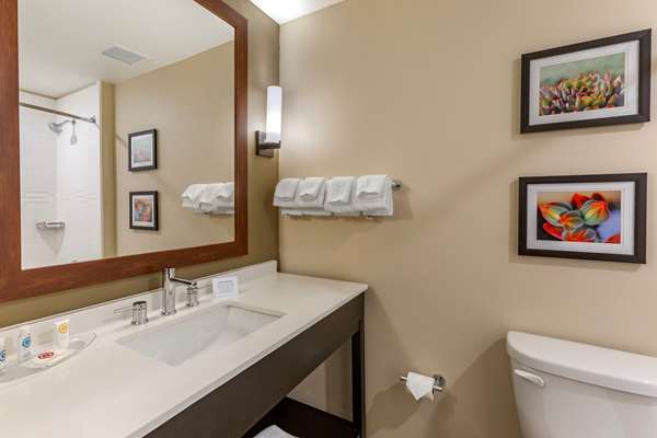 Suite - Comfort Suites Airport Albuquerque - I-25, Exit 221