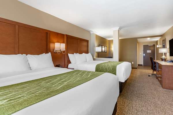 Suite - Comfort Suites Airport Albuquerque - I-25, Exit 221