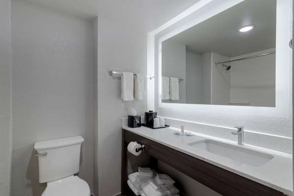  - Clarion Pointe Hotel McDonough - I-75, Exit 218