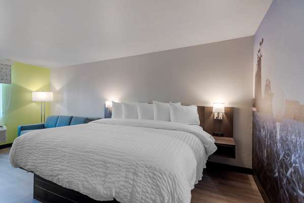 Suite - Clarion Pointe Hotel McDonough - I-75, Exit 218