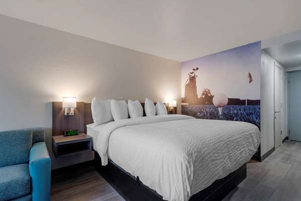 Suite - Clarion Pointe Hotel McDonough - I-75, Exit 218