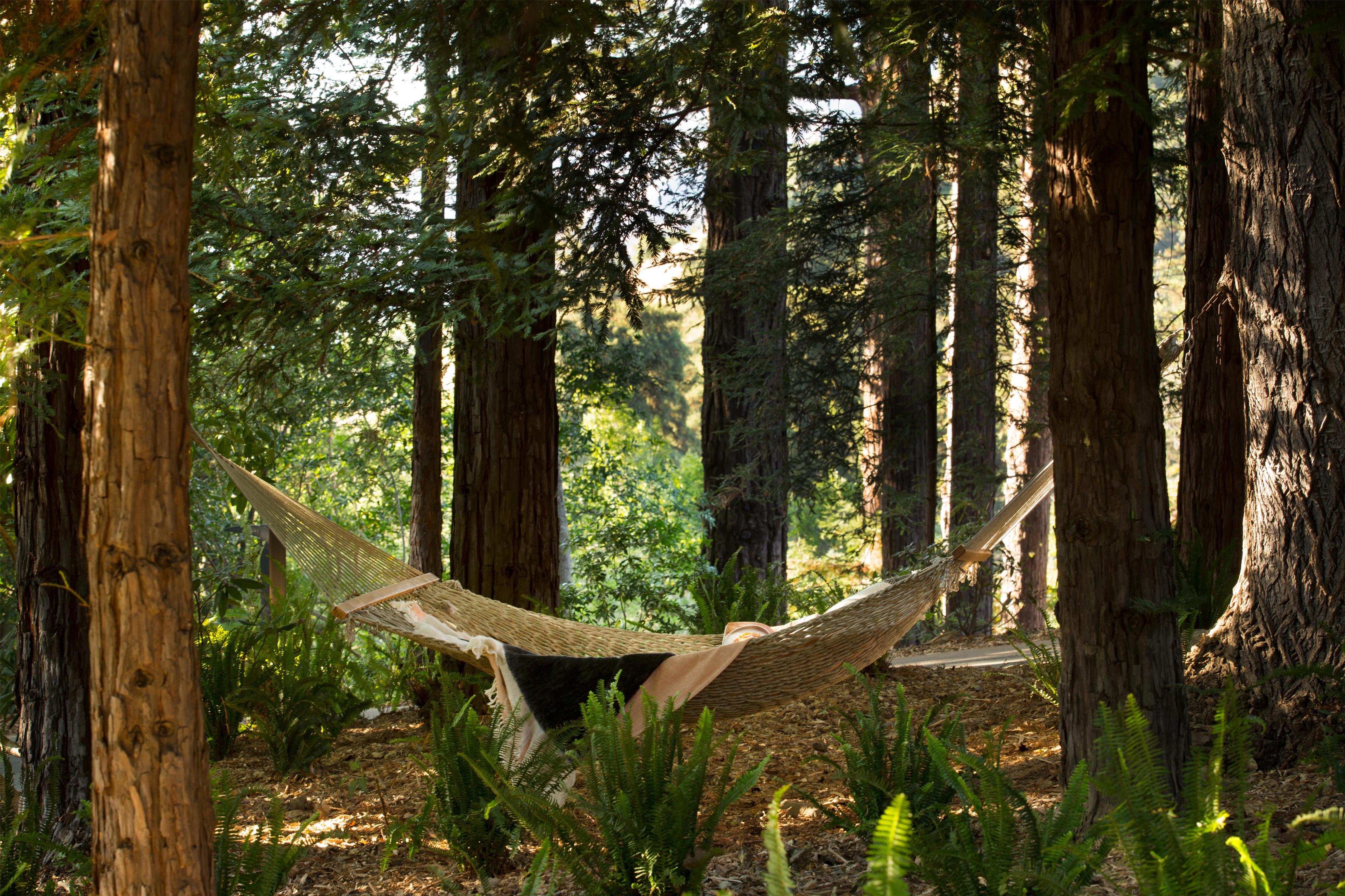 Recreational Facilities | Alila Ventana Big Sur, All Inclusive Adults Only