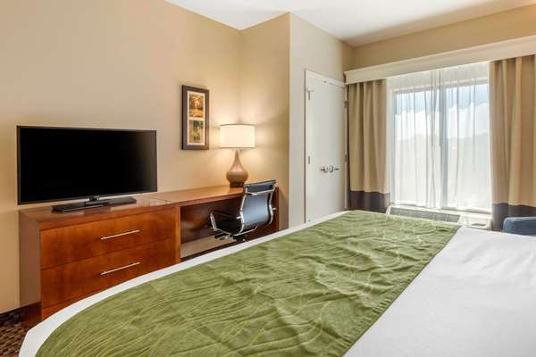  - Comfort Inn & Suites Florence - I-95, Exit 160