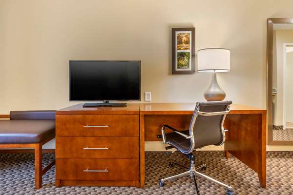 Suite - Comfort Inn & Suites Florence - I-95, Exit 160