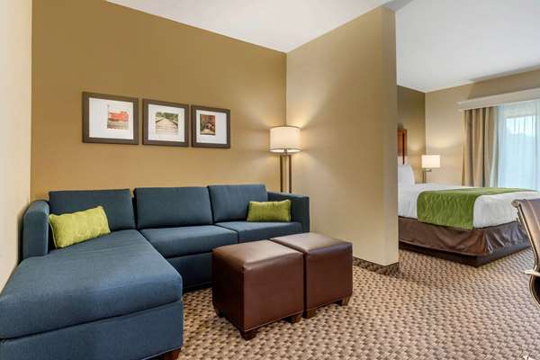 Suite - Comfort Inn & Suites Florence - I-95, Exit 160