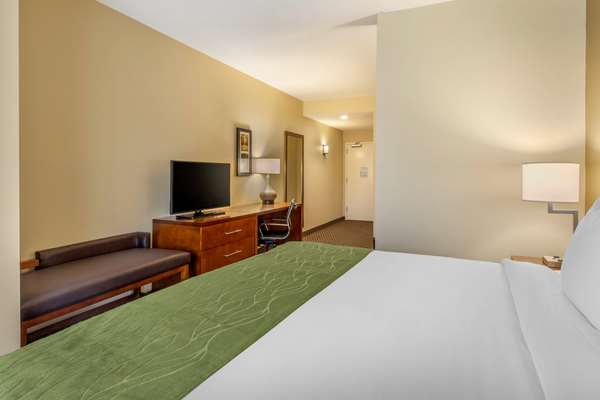Suite - Comfort Inn & Suites Florence - I-95, Exit 160