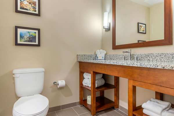  - Comfort Inn & Suites Florence - I-95, Exit 160