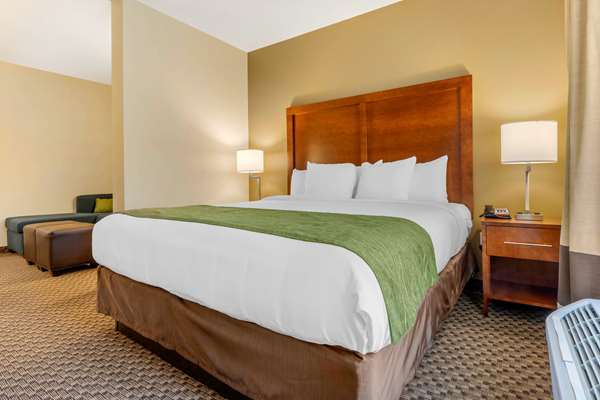 Suite - Comfort Inn & Suites Florence - I-95, Exit 160
