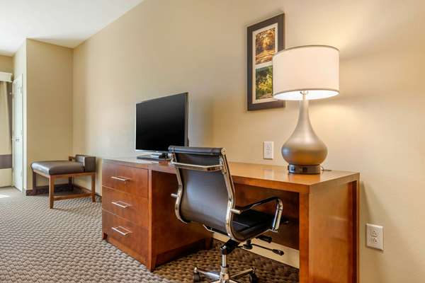 Suite - Comfort Inn & Suites Florence - I-95, Exit 160