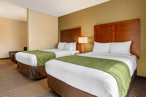 Suite - Comfort Inn & Suites Florence - I-95, Exit 160