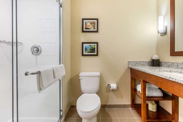 Suite - Comfort Inn & Suites Florence - I-95, Exit 160