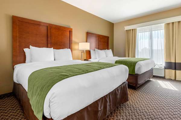 Suite - Comfort Inn & Suites Florence - I-95, Exit 160