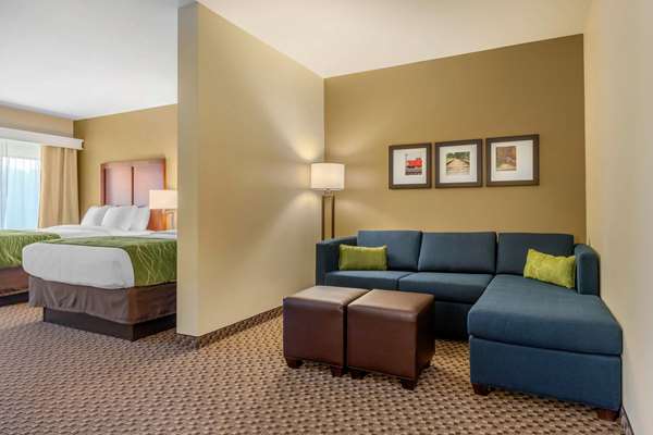 Suite - Comfort Inn & Suites Florence - I-95, Exit 160