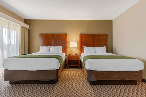 Suite - Comfort Inn & Suites Florence - I-95, Exit 160