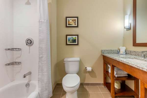 Suite - Comfort Inn & Suites Florence - I-95, Exit 160