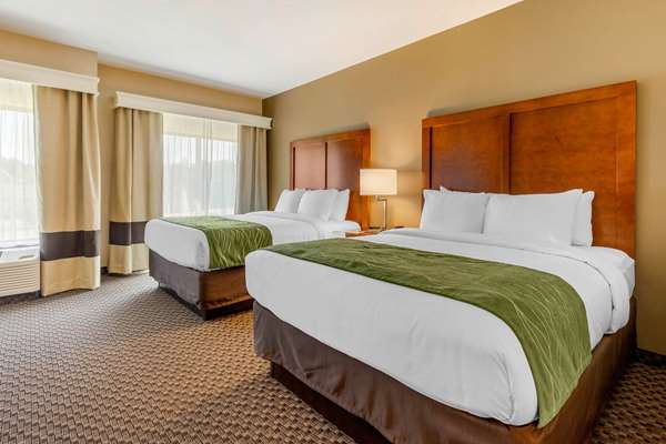 Suite - Comfort Inn & Suites Florence - I-95, Exit 160