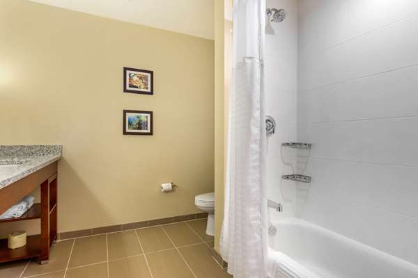 Suite - Comfort Inn & Suites Florence - I-95, Exit 160