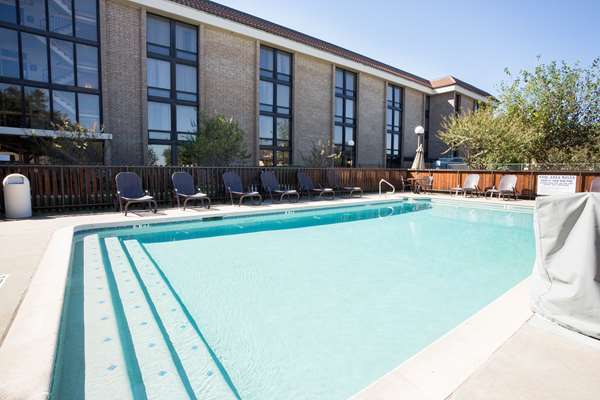 Pool - Drury Inn & Suites North Austin - I-35, Exit 238