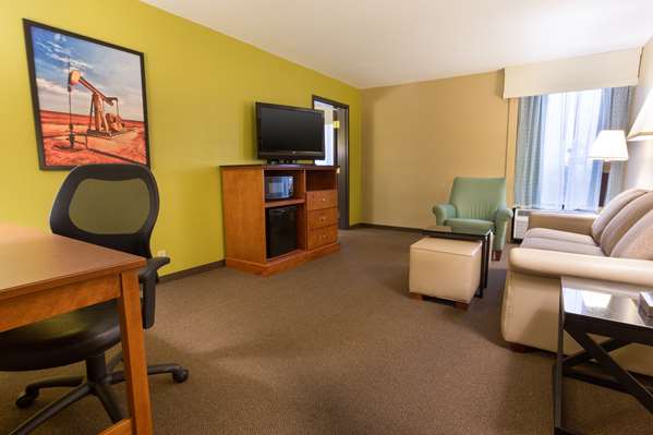  - Drury Inn & Suites Galleria Houston