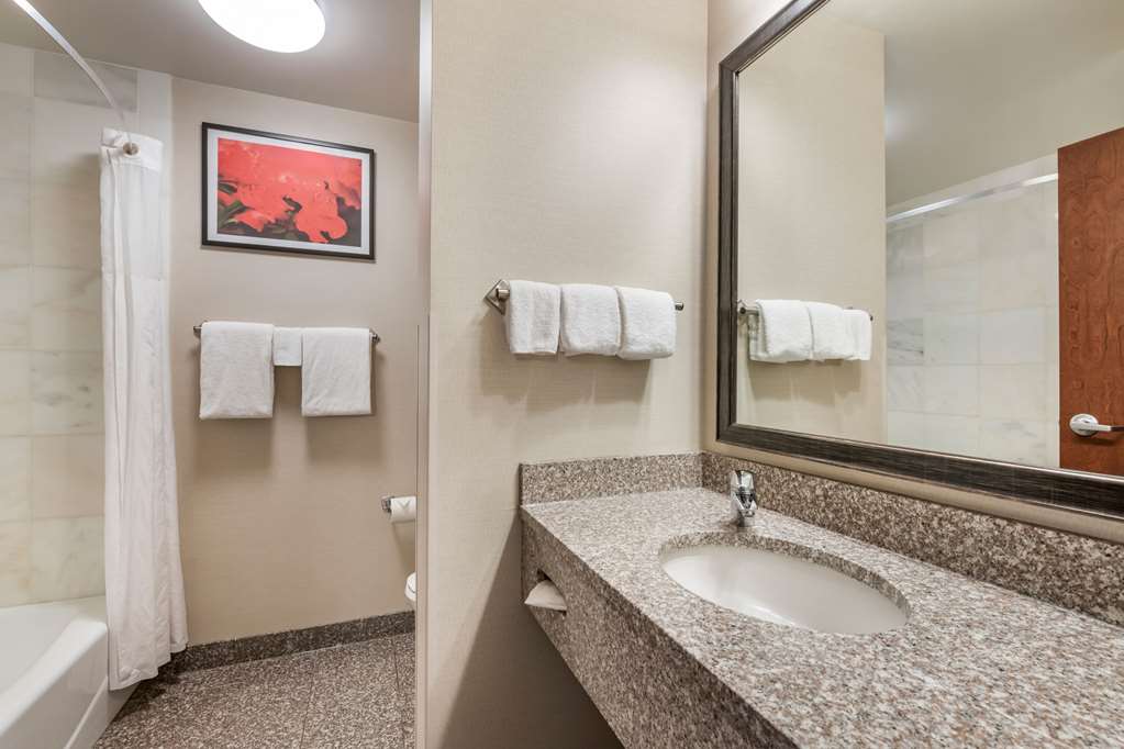 DRURY PLAZA HOTEL VALDOSTA-guestroom-Guest Room,Bathroom,On-Site.jpg