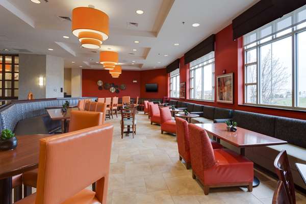 Restaurant - Drury Inn & Suites O'Fallon - I-64, Exit 16