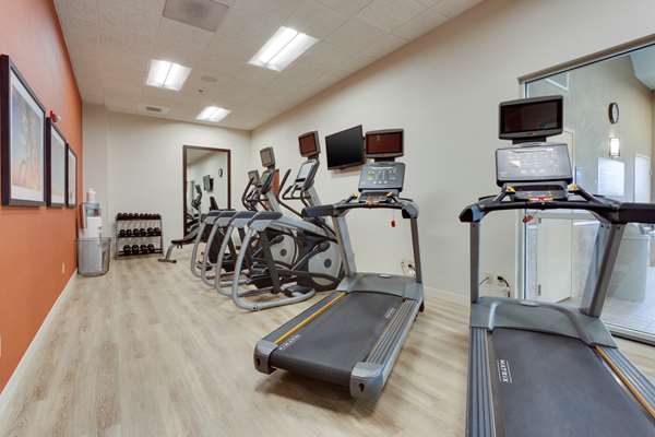 Fitness/ Exercise Room - Drury Inn & Suites O'Fallon - I-64, Exit 16