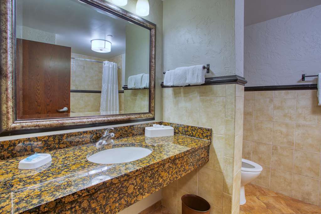 DRURY INNSTES SA NEAR LA CANTERA-guestroom-Guest Room,Bathroom,On-Site.jpg