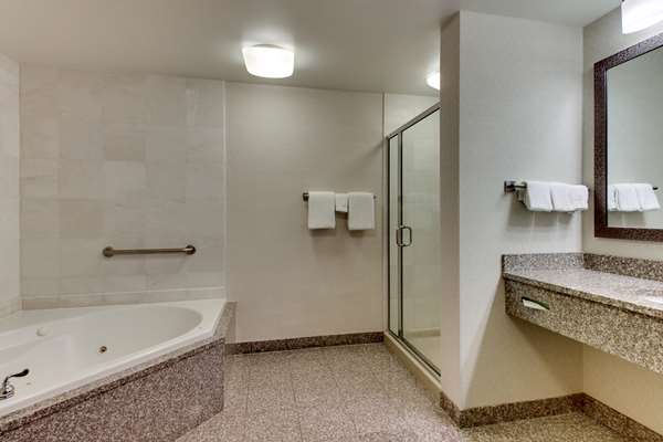  - Drury Inn & Suites Meridian - I-20 & I-59, Exit 154