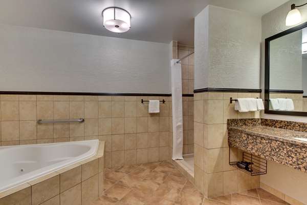  - Drury Inn & Suites Pinnacle Peak Phoenix - I-17, Exit 217