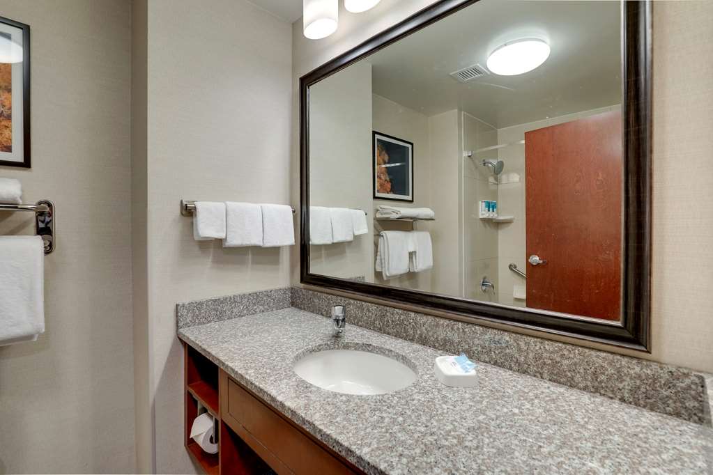 DRURY PLAZA HOTEL MT. VERNON-guestroom-Guest Room,Bathroom,On-Site.jpg