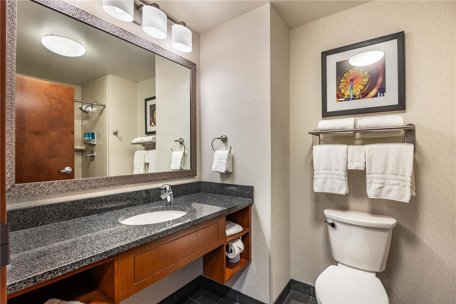 Drury Plaza Hotel Columbia East-guestroom-Guest Room,Bathroom,On-Site.jpg
