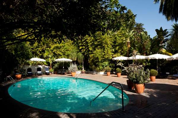 Pool - Chateau Marmont Hotel Hollywood