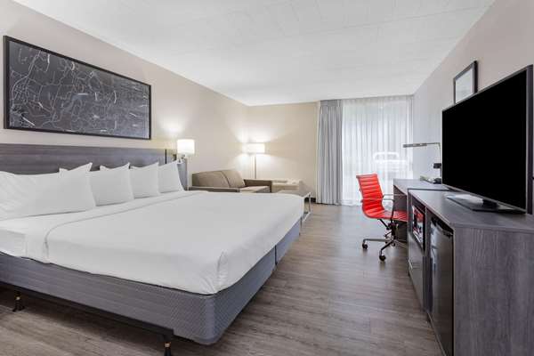 Guest Room,On-Site