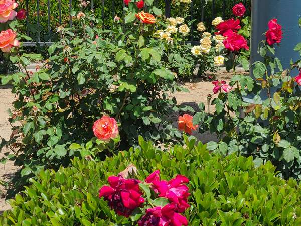  - SureStay Hotel by Best Western Chowchilla