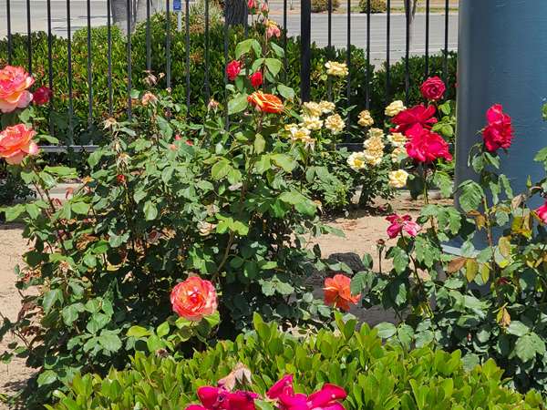  - SureStay Hotel by Best Western Chowchilla