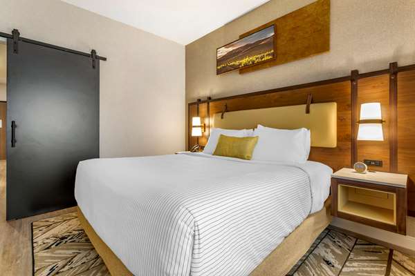 Suite - Cambria Hotel Sonoma Wine Country Rohnert Park