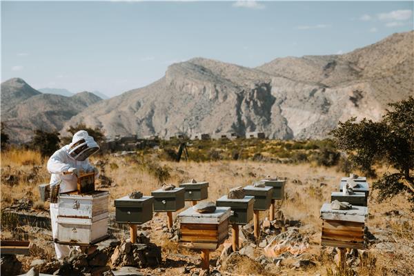 Alila Jabal Akhdar