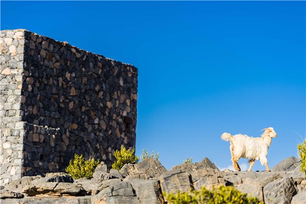 Alila Jabal Akhdar