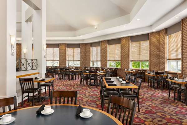 Bar - Royal Hotel Edmonton Airport Leduc