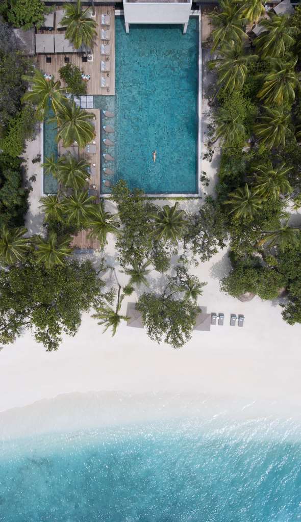 Guest photo